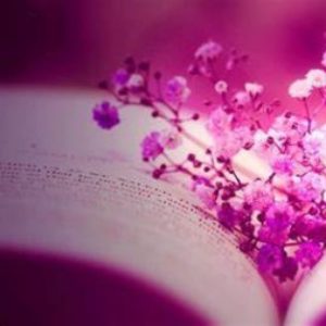 Photo de profil de Lilia Ghemouri