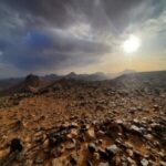 Photo de Profil de Zineeddine Temame