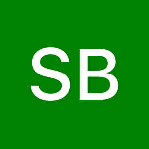 Photo de profil de Samy Bramgui